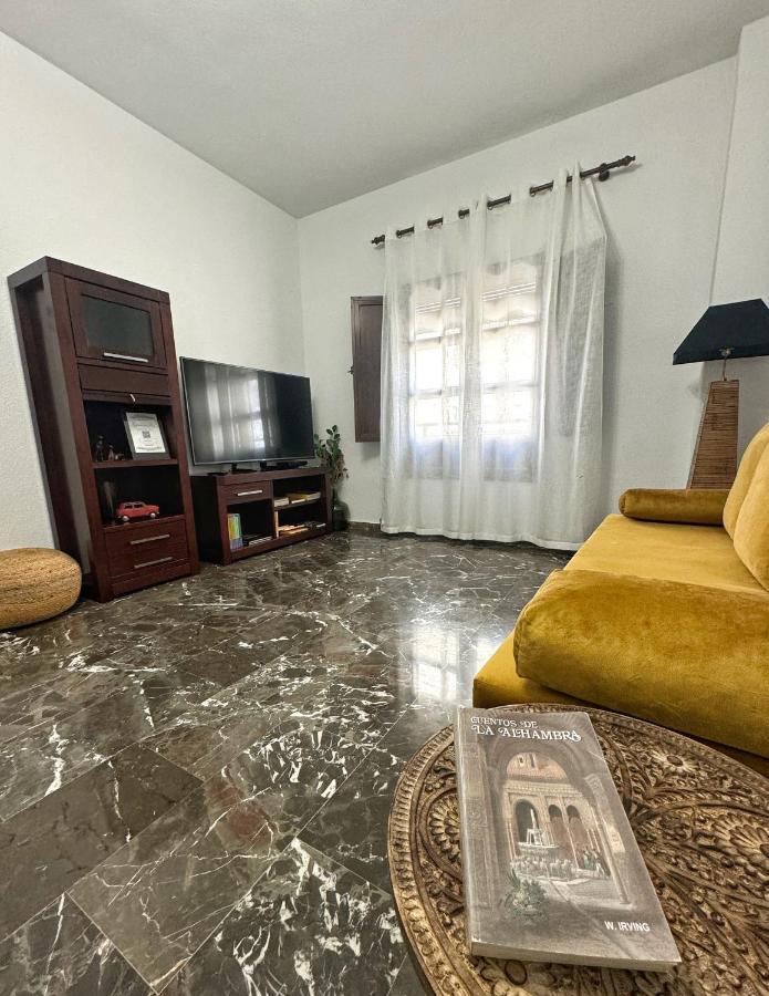 Apartment Local Penthouse